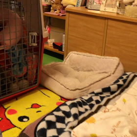 毎日のおつとめの画像