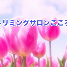 4月　〜スライドショー〜の画像