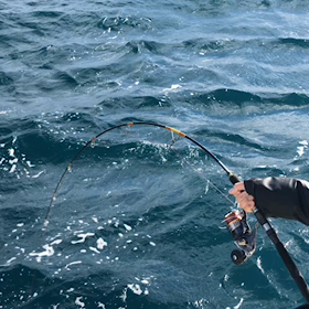 ジギングロッドの調子の画像