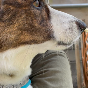 怒りっぽい女子の画像
