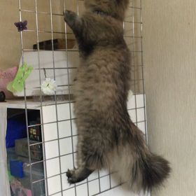 前回の続きの画像