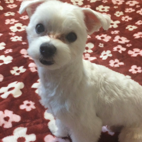 ボール遊び〜動画初投稿〜の画像