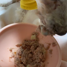 期待を裏切らない男(๑˃̵ᴗ˂̵)福の画像