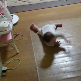 カナたんのお手伝いの画像