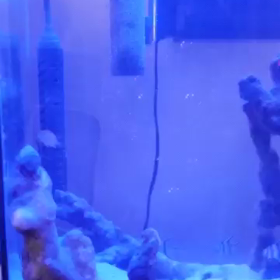 祝☆初ブログ〜の画像