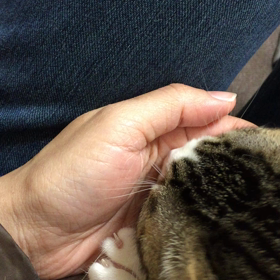 睡眠時間ゼロ。の画像