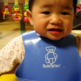 初めてのヨーグルト動画の画像