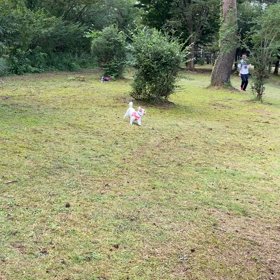 蒜山の別荘事情と　選んだ理由の画像