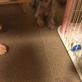 ぽよーん。の画像