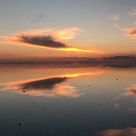 世界はひとつの画像