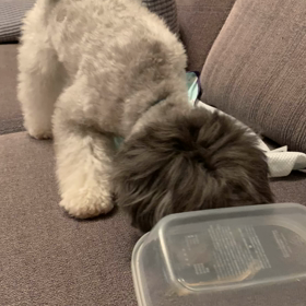 悶えるむぎの画像