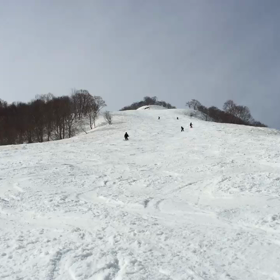 私をスキーに連れてっての画像