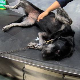 動画テスト再生できないの画像