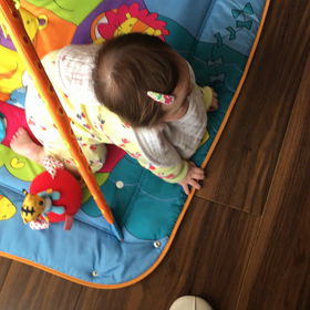 初はいはいの画像