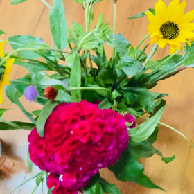 介護記録１２０（視点を変えてみる）の画像