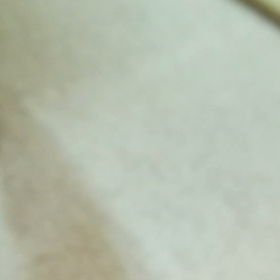 今日の棗の画像