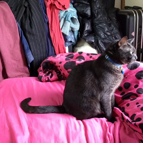 後ろが気になる?の画像