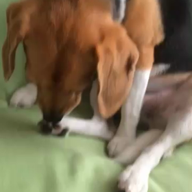 もう、やめての画像