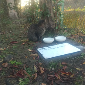 信じられないことですが…の画像