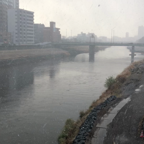 寒いですなー、、の画像