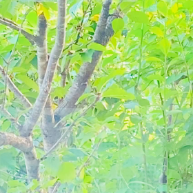 介護記録９７（ともだち）の画像