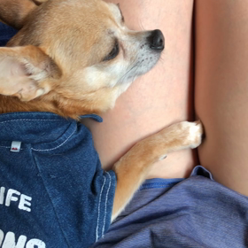 しがみつきの限界値 ✨の画像