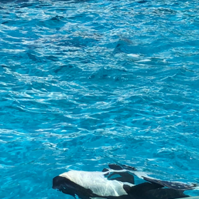 夏合宿33の画像