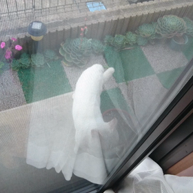 今日は登山の日の画像