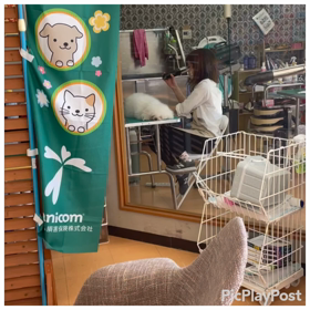 シャンプーの画像