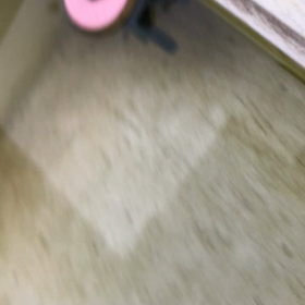 初産卵の画像