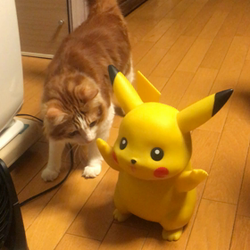 ピカチューゲットだぜ！の画像