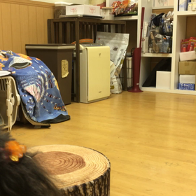 きっちりやりましょう。の画像