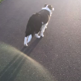 お便りと見学のマナーの画像