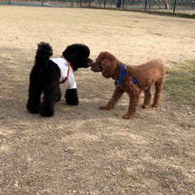 3連休ですが・・・の画像