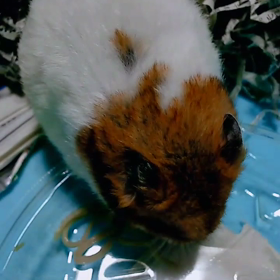 今日はハートの日の画像