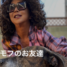 懐かしい～～、我が子達の動画・・・と、ピットブルが子供を助けた説・・・・の画像