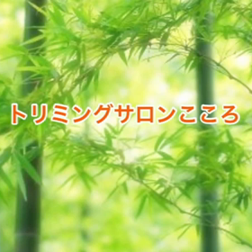 スライドショーの画像