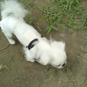 喜び動画の画像