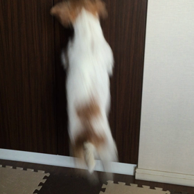 扉の向こう側の画像