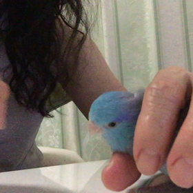 ライちゃんを鷲づかみっぽく触れた夜の画像