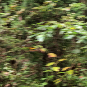 お恥ずかしながら、、はい 目標ですがの画像