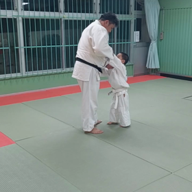 柔よく剛を制すの画像