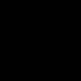 主人はイラッとしてるけど、癒されますの画像