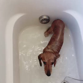 アキレス腱断裂278日目の画像