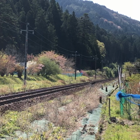 キヤ97 飛騨小坂工臨！萩原の画像