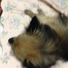 見てみて^ ^の画像