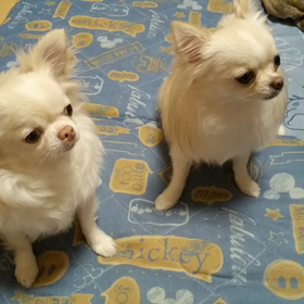 誕生日会の画像