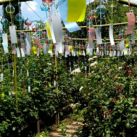 横浜ローズガーデンの画像