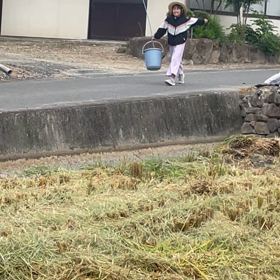 自由気ままにの画像