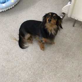 ♪プレイルーム動画♪の画像